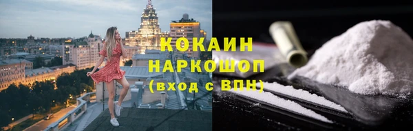 прущие грибы Беломорск
