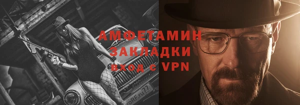 прущие грибы Беломорск