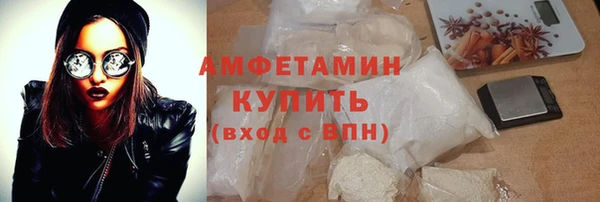 прущие грибы Беломорск