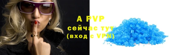 прущие грибы Беломорск