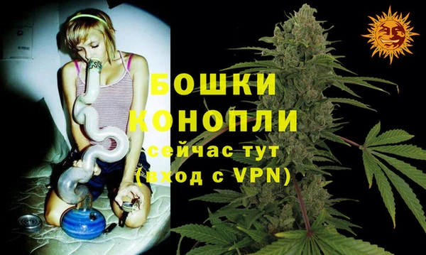 прущие грибы Беломорск