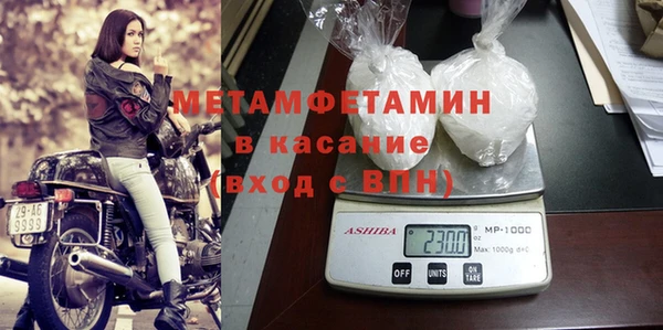 прущие грибы Беломорск