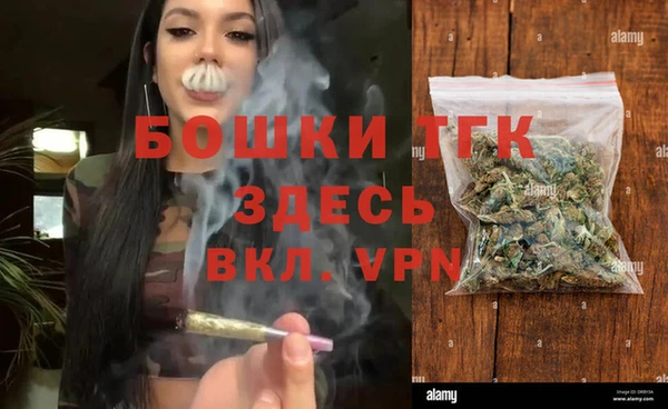 прущие грибы Беломорск