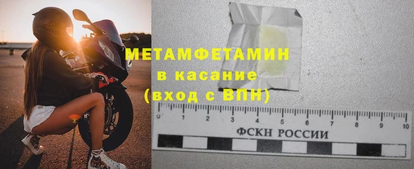 прущие грибы Беломорск