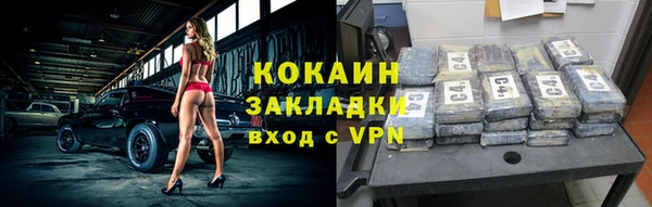прущие грибы Беломорск